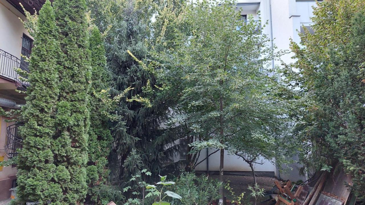 Apartment Corona Koszyce Zewnętrze zdjęcie