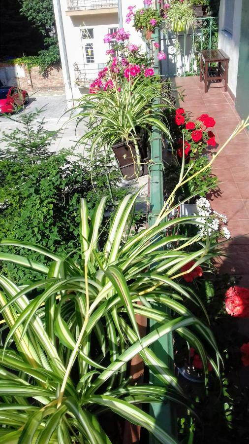 Apartment Corona Koszyce Zewnętrze zdjęcie